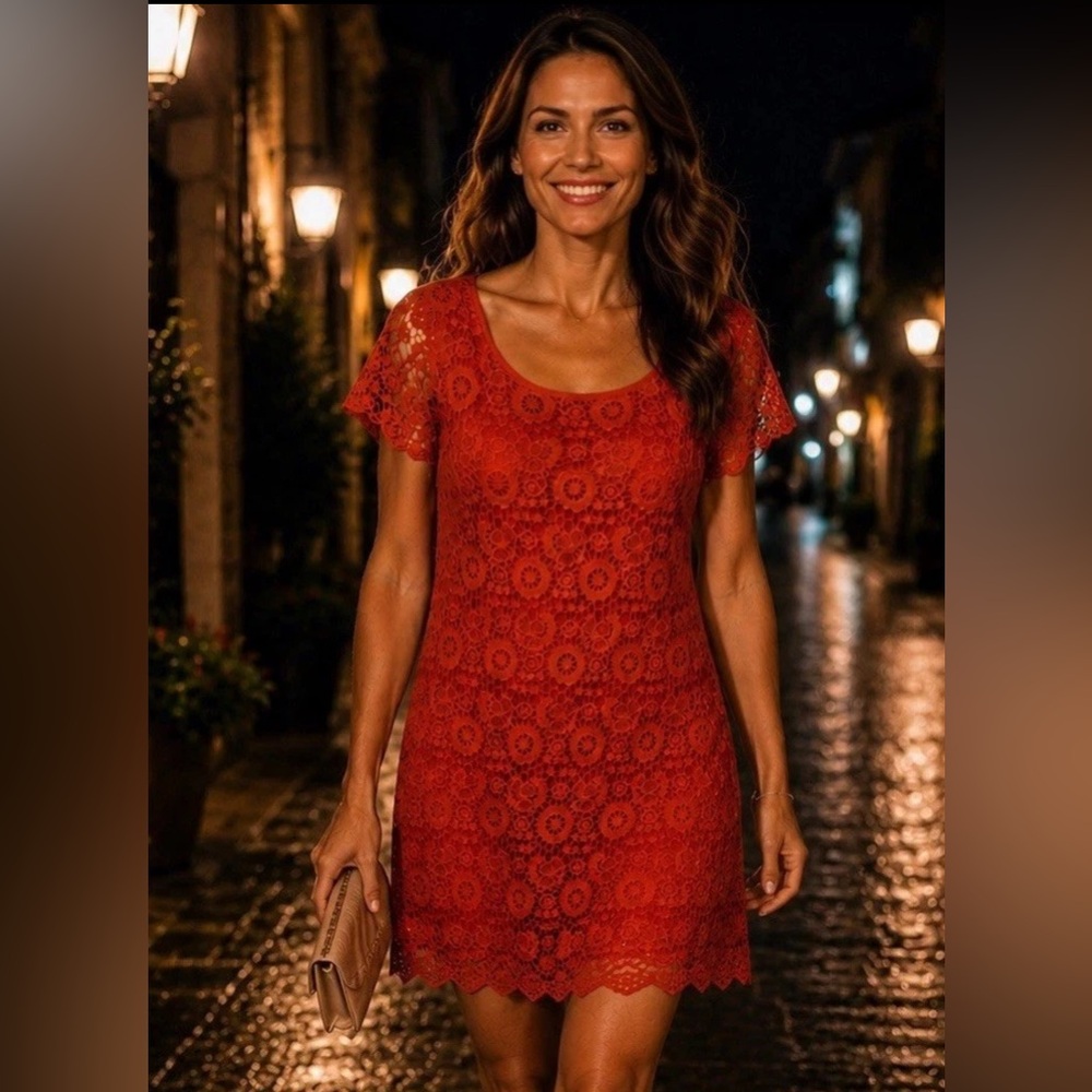 MOULINETTE SOEURS x Anthropologie Dress 4 HORKELIA Shift Lace Overlay Lined Chic